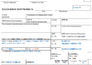 Платежное поручение_АУСН
